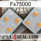 Fx75000 25